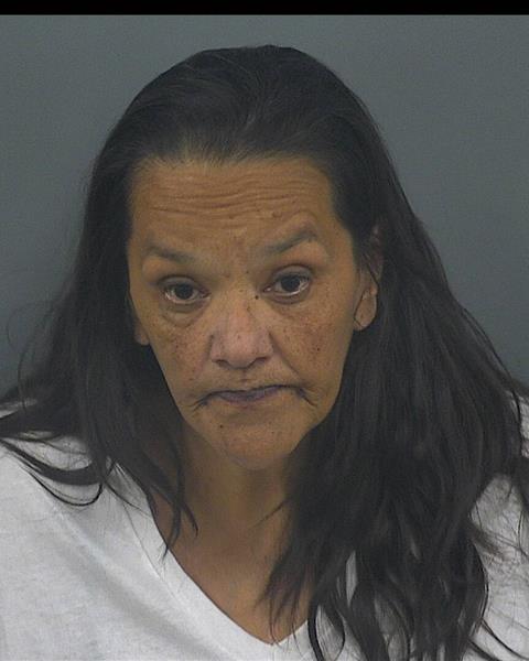 Booking photo — Rana A Lapointe